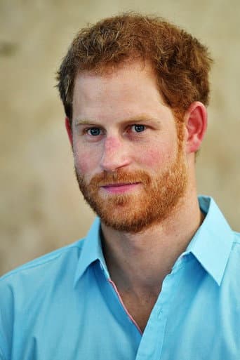 Prince Harry, Duke of Sussex fotoğrafı