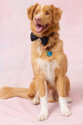 Indy fotoğrafı
