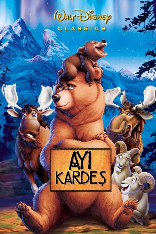 Ayı Kardeş posteri