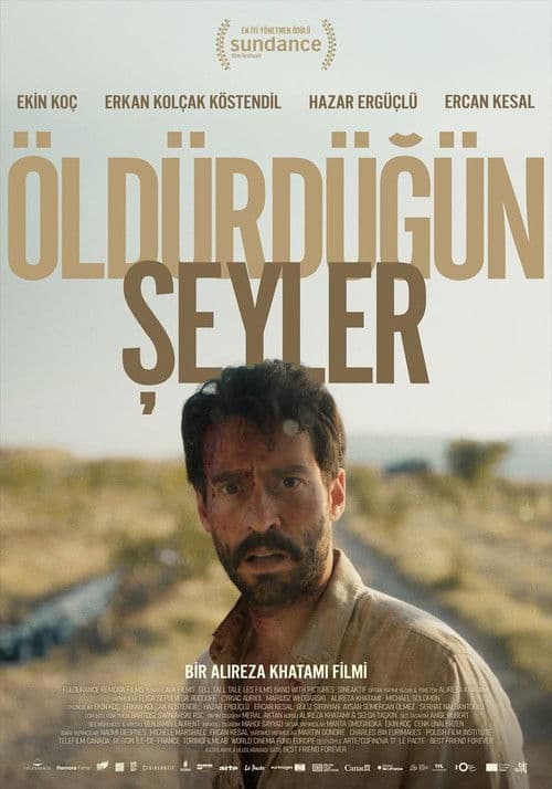 Öldürdüğün Şeyler posteri