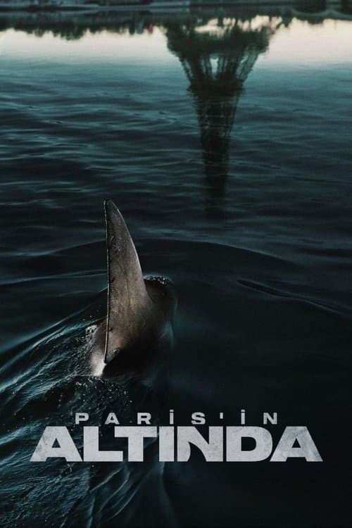 Paris'in Altında posteri