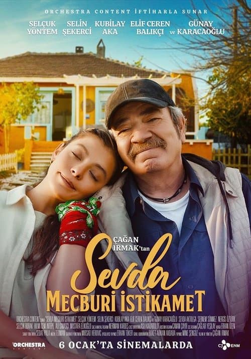 Sevda Mecburi İstikamet posteri