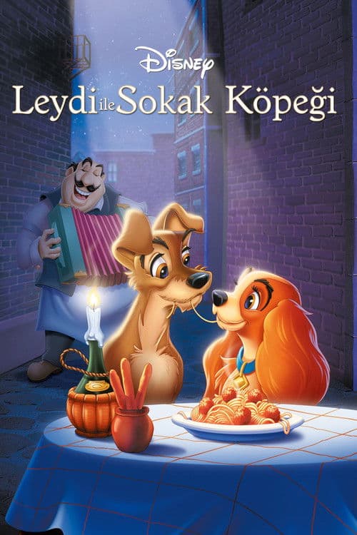 Leydi ile Sokak Köpeği posteri