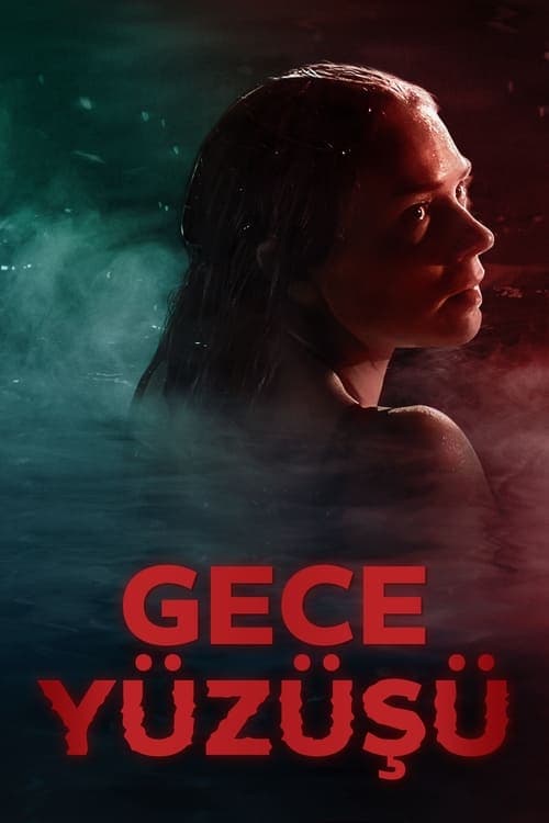 Gece Yüzüşü posteri