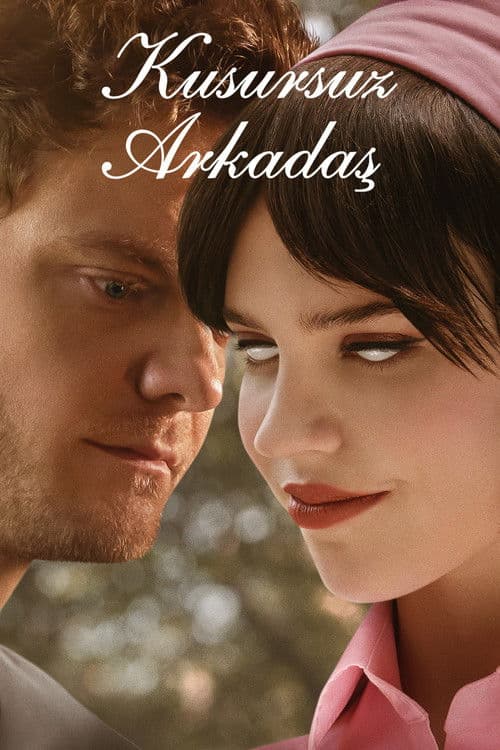 Kusursuz Arkadaş posteri