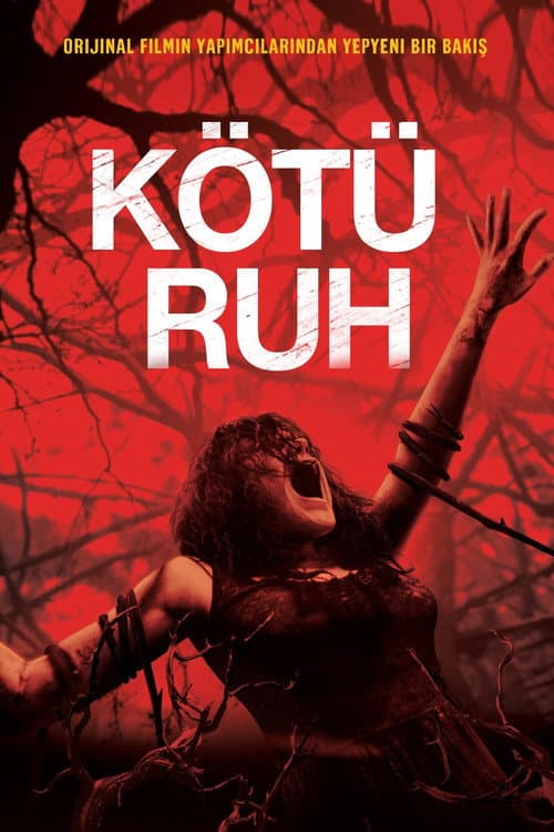 Kötü Ruh posteri