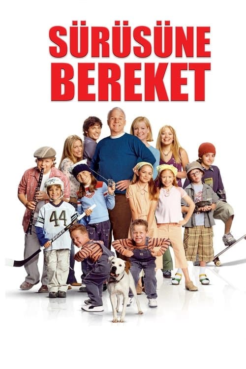 Sürüsüne Bereket posteri
