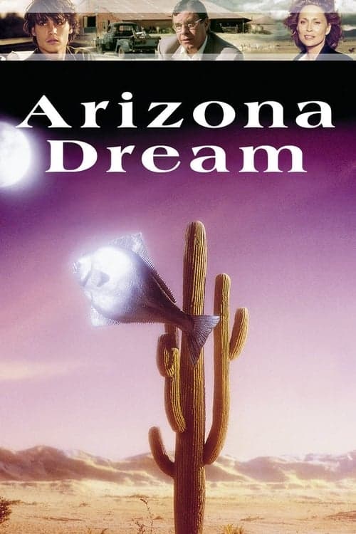 Arizona Rüyası posteri