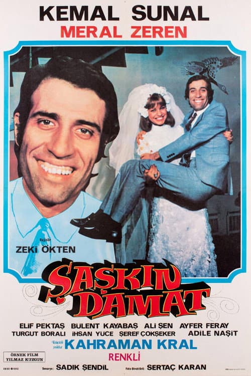 Şaşkın Damat posteri
