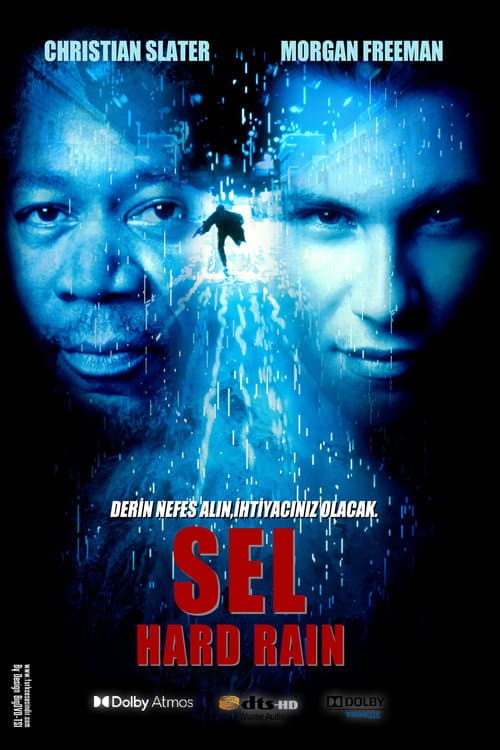 Sel posteri