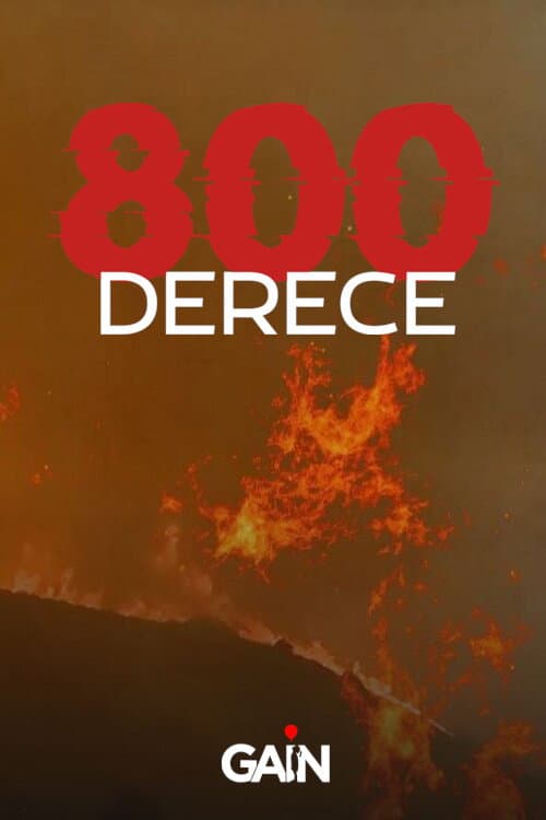 800 Derece posteri