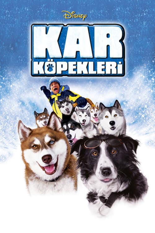 Kar Köpekleri posteri