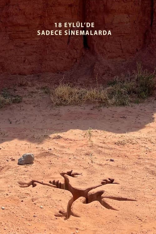 Coyote vs ACME posteri