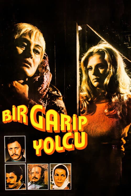 Bir Garip Yolcu posteri