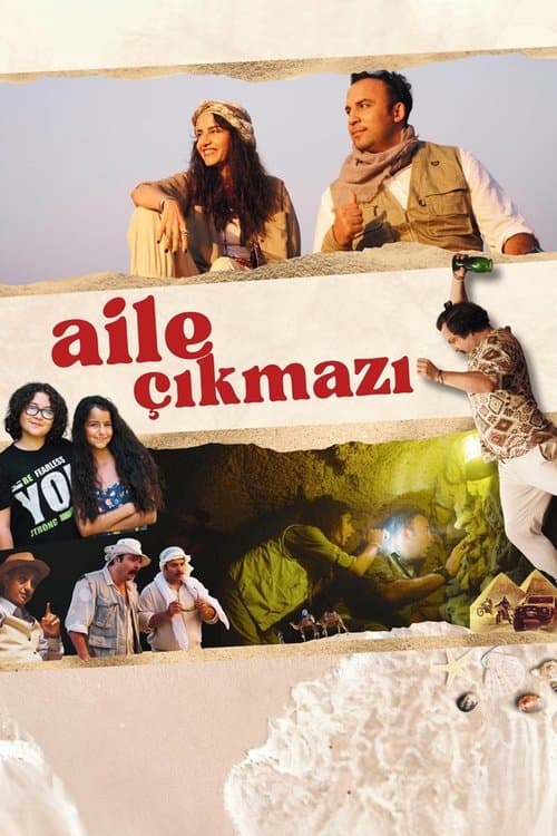 Aile Çıkmazı posteri