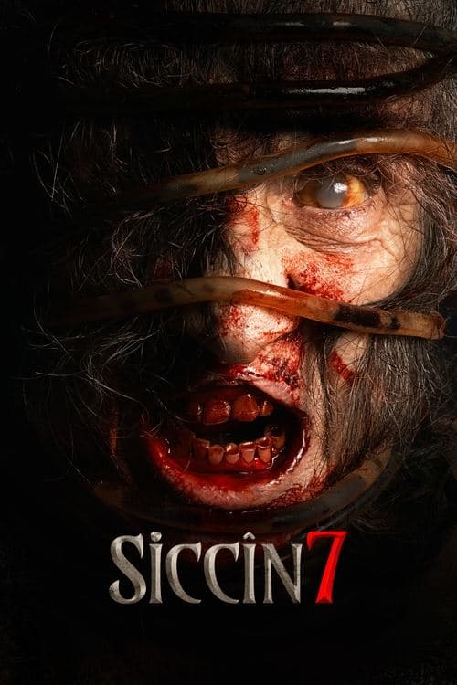 Siccîn 7 posteri