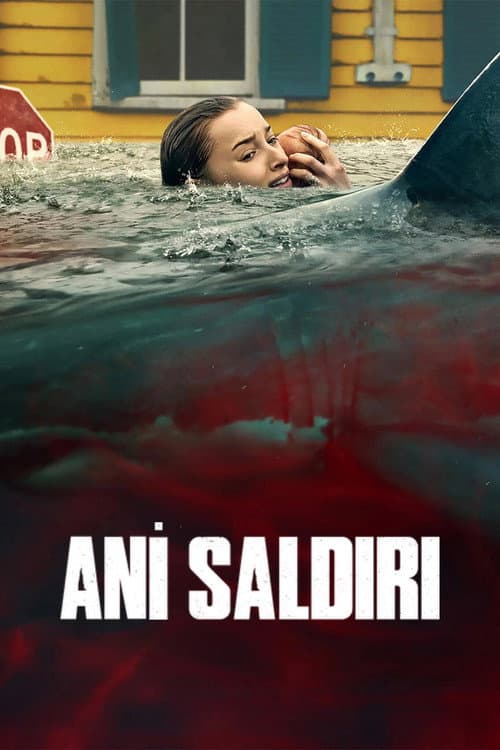 Ani Saldırı posteri