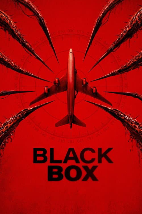 Black Box (Flight 298) posteri