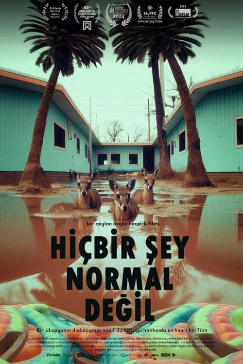 Hiçbir Şey Normal Değil posteri