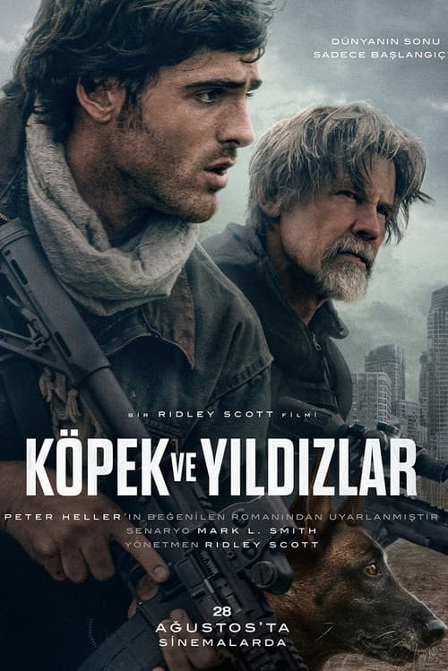 Köpek ve Yıldızlar posteri