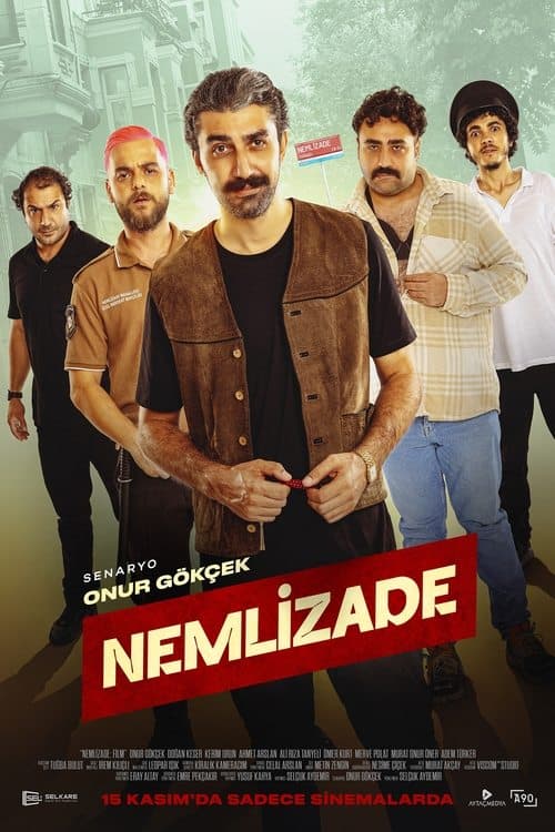 Nemlizade posteri