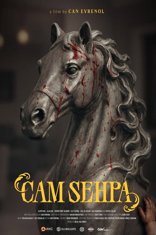 Cam Sehpa posteri