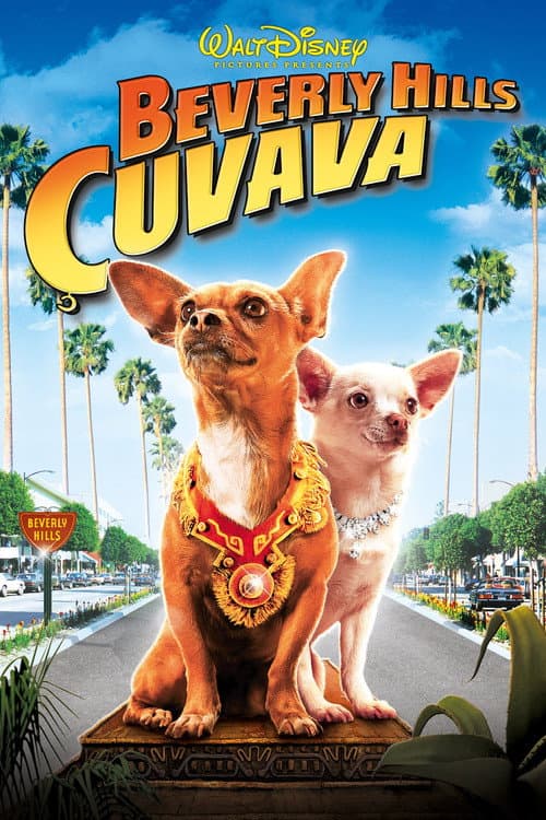 Beverly Hills Çuvava posteri