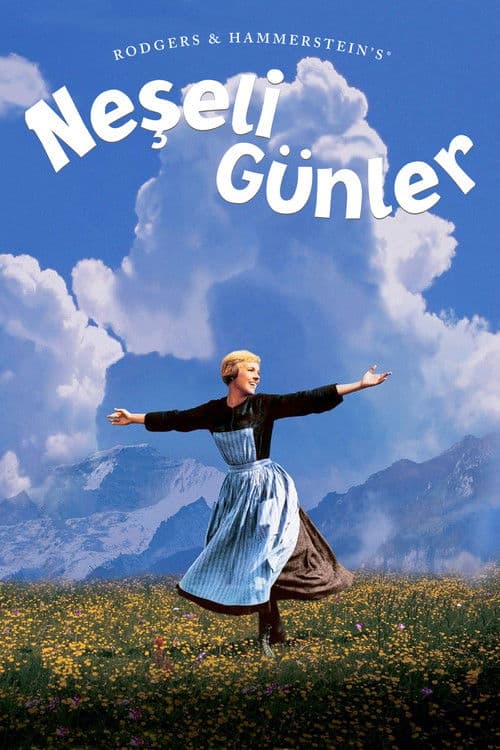 Neşeli Günler posteri