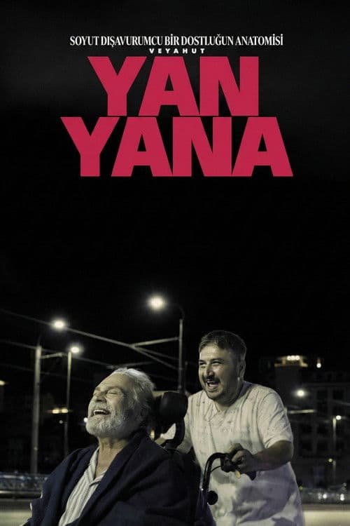 Soyut Dışavurumcu Bir Dostluğun Anatomisi Veyahut Yan Yana posteri