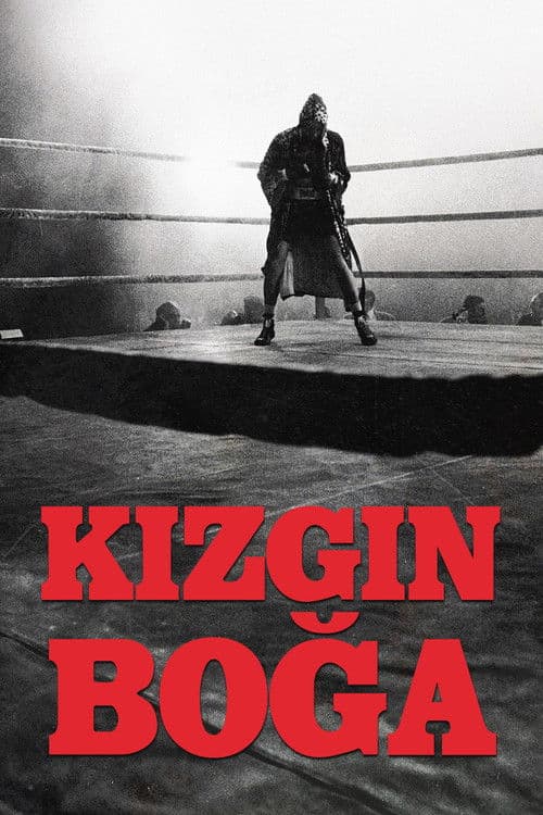 Kızgın Boğa posteri