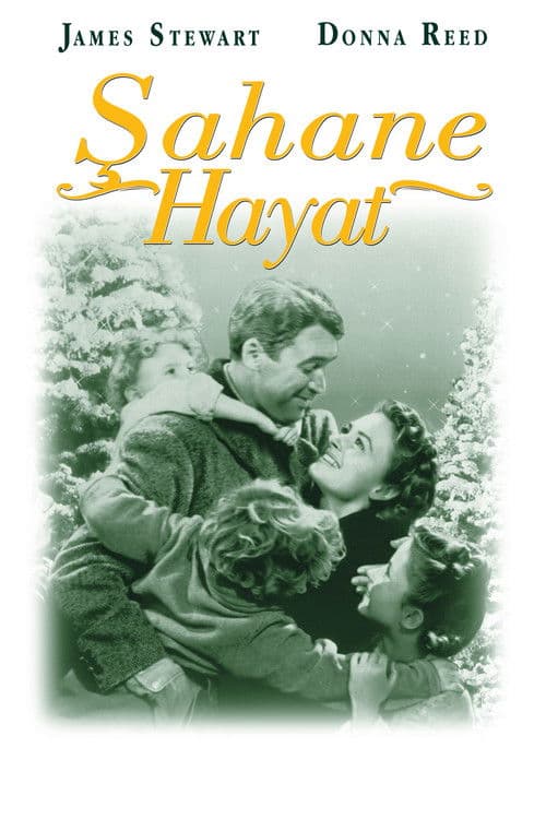 Şahane Hayat posteri
