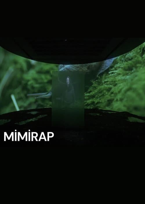 Mimirap posteri