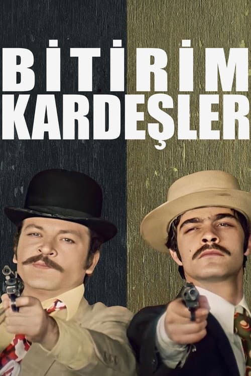 Bitirim Kardeşler posteri