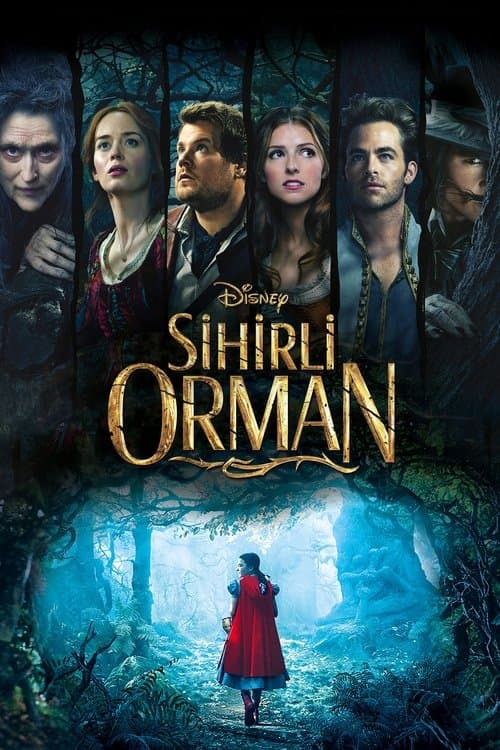 Sihirli Orman posteri