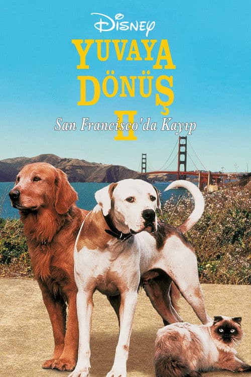 Yuvaya Dönüş II: San Francisco'da Kayıp posteri