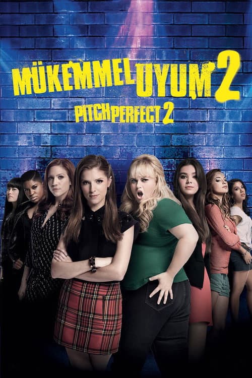 Mükemmel Uyum 2 posteri