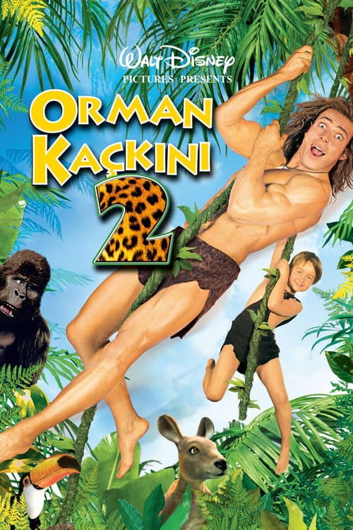 Orman Kaçkını 2 posteri
