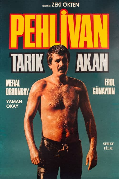 Pehlivan posteri