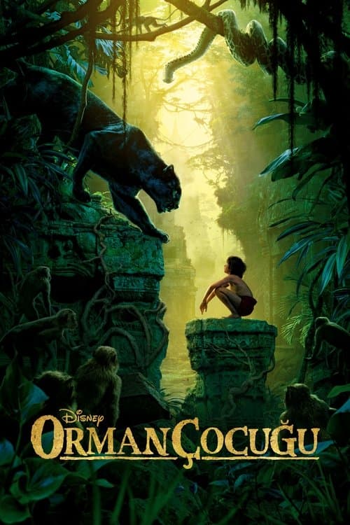 Orman Çocuğu posteri