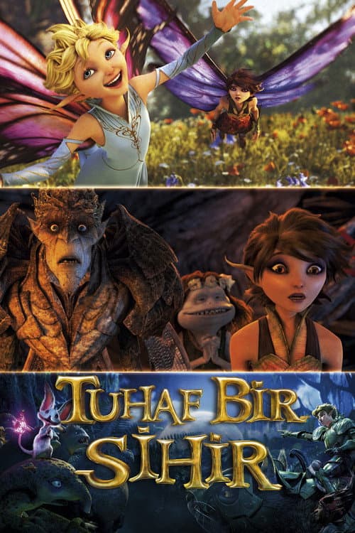 Tuhaf Bir Sihir posteri