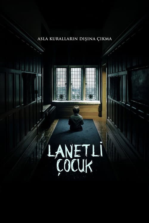 Lanetli Çocuk posteri