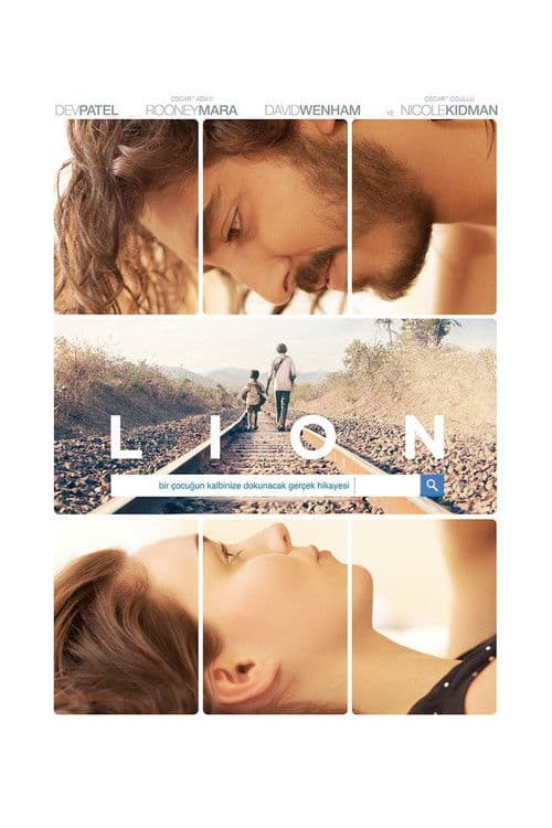 Lion posteri