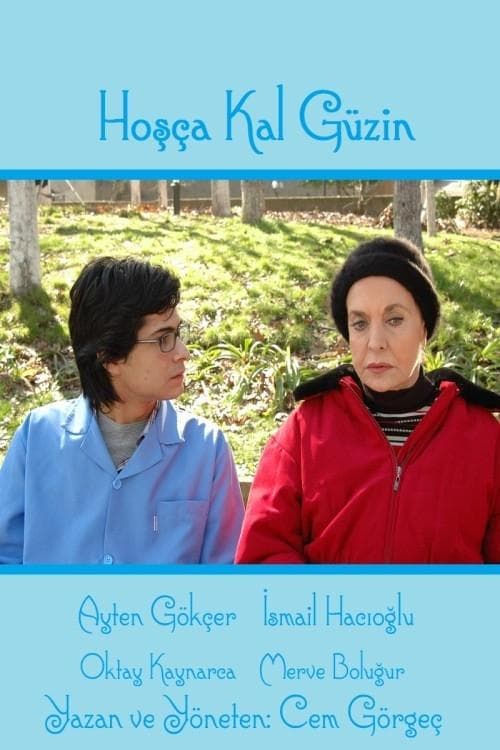 Hoşça Kal Güzin posteri