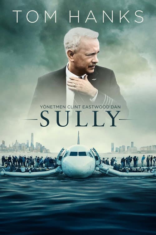 Sully posteri