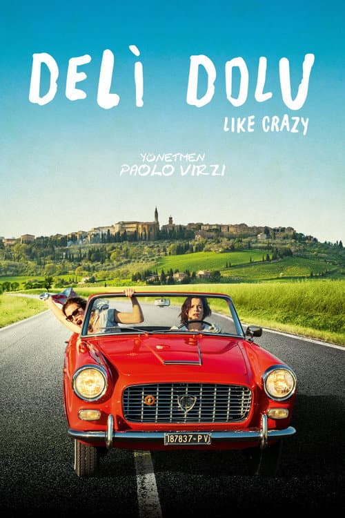 Deli Dolu posteri