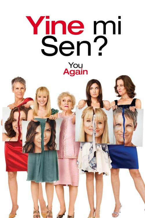 Yine mi Sen? posteri