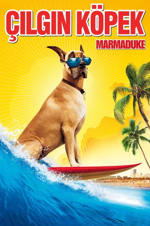 Çılgın Köpek posteri