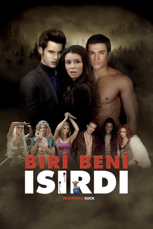 Biri Beni Isırdı posteri