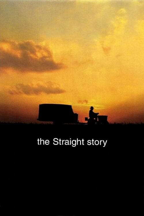 Straight'in Hikayesi posteri