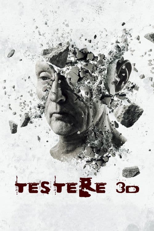 Testere 3D posteri